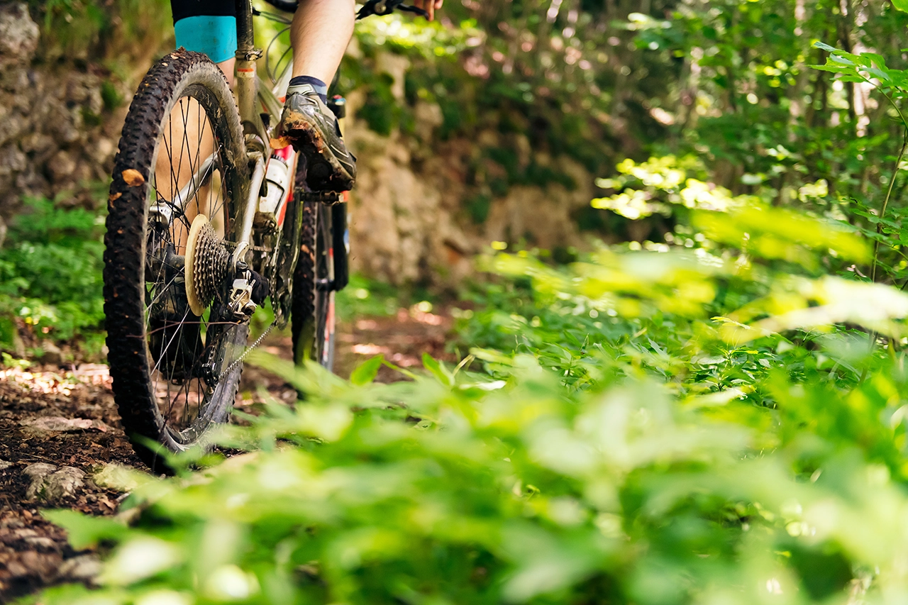 8 rutas en bicicleta para recorrer guaduas
