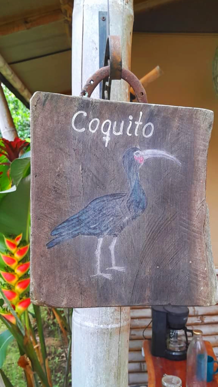 aviso cabaña coquito