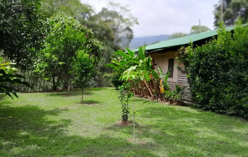 Patio de las cabañas glamping aguas claras en guaduas